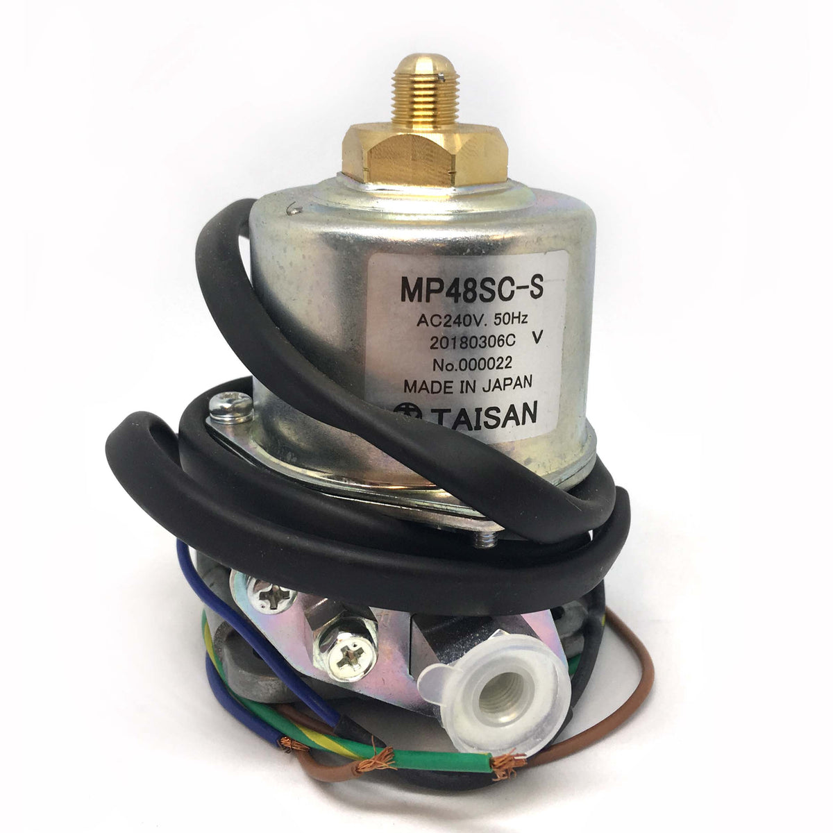 Taisan 240V Electric Fuel Pump