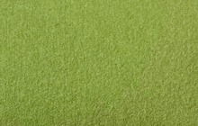 Excentr 30-20 EDS Pads Green 3000 Grit - Pack of 2