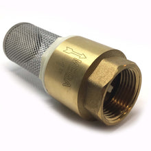 1" Non Return Valve with Stainless Steel Filter