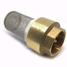 1 1/4" Non Return Valve with Stainless Steel Filter