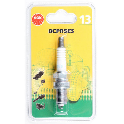 NGK Spark Plug (Ride On)