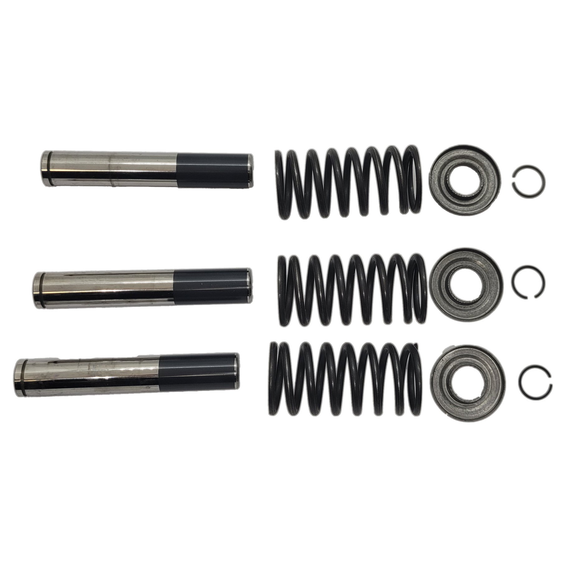 AXD Piston Kit for Brass Pump Head New Code = 10002-01709