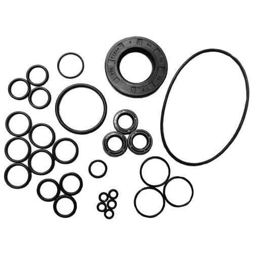 Oil Seal Kit [LW Hollow Shaft] - New Code = 10001-01082