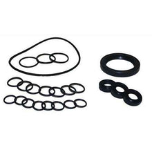 Oil Seal Kit AXD Pump - New Code = 10001-01118