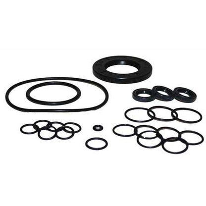 RW Oil Seal Kit - New Code = 10001-01390