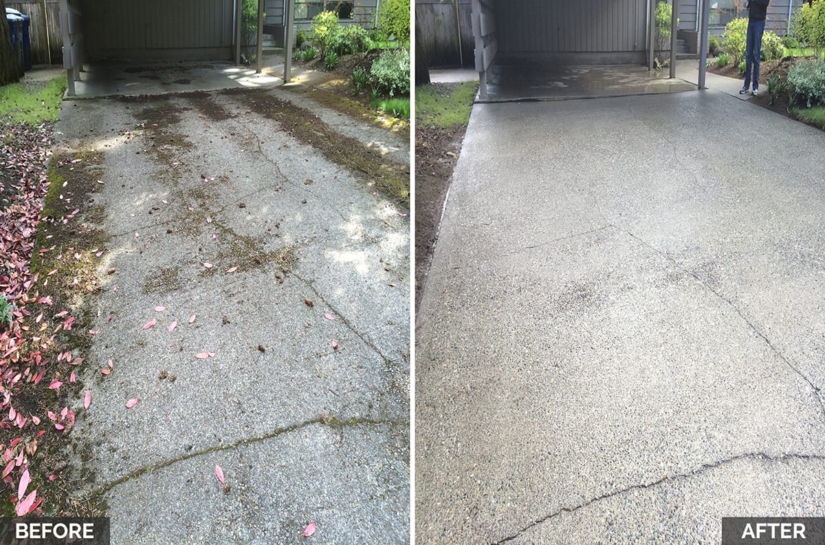 Equip2clean Hypo SuperFoam+ (Moss & Algae Remover) Softwash Solution