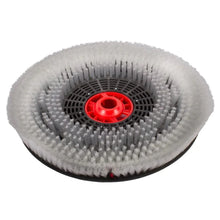 Genuine IPC 20’’ Nylon Scrubbing Brush For CT40 Models - Scrubber Dryer Spares