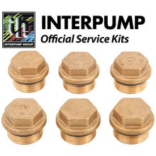 Interpump Service/Repair Kit 157 - Commercial Cleaning Machines Ltd