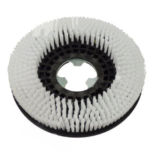 Standard Scrubbing Brush For Fimap Genie Comac Vispa - Scrubber Dryer Spares
