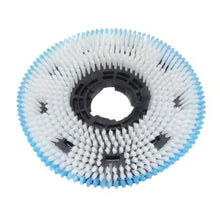 Numatic 450mm Nyloscrub Carpet Shampoo Brush